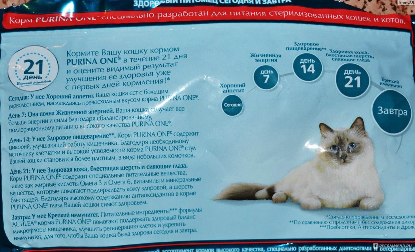 Вреден ли сухой корм для кошек: отзывы ветеринаров. — обсуждение в группе "кошки" | птичка.ру