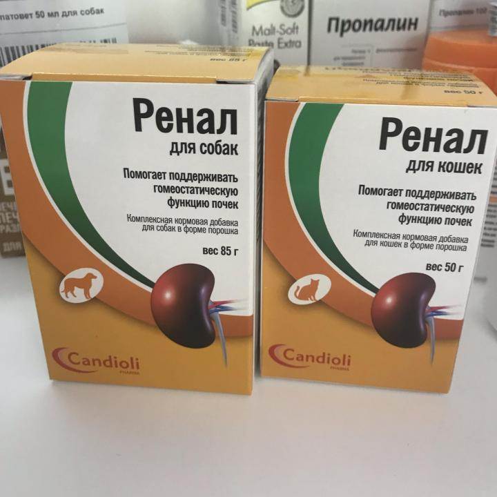 Ренал эдвансед для кошек: показания и способ применения