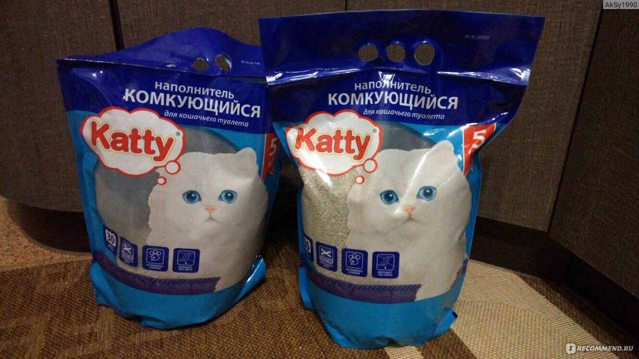 Кошка ест наполнитель для туалета