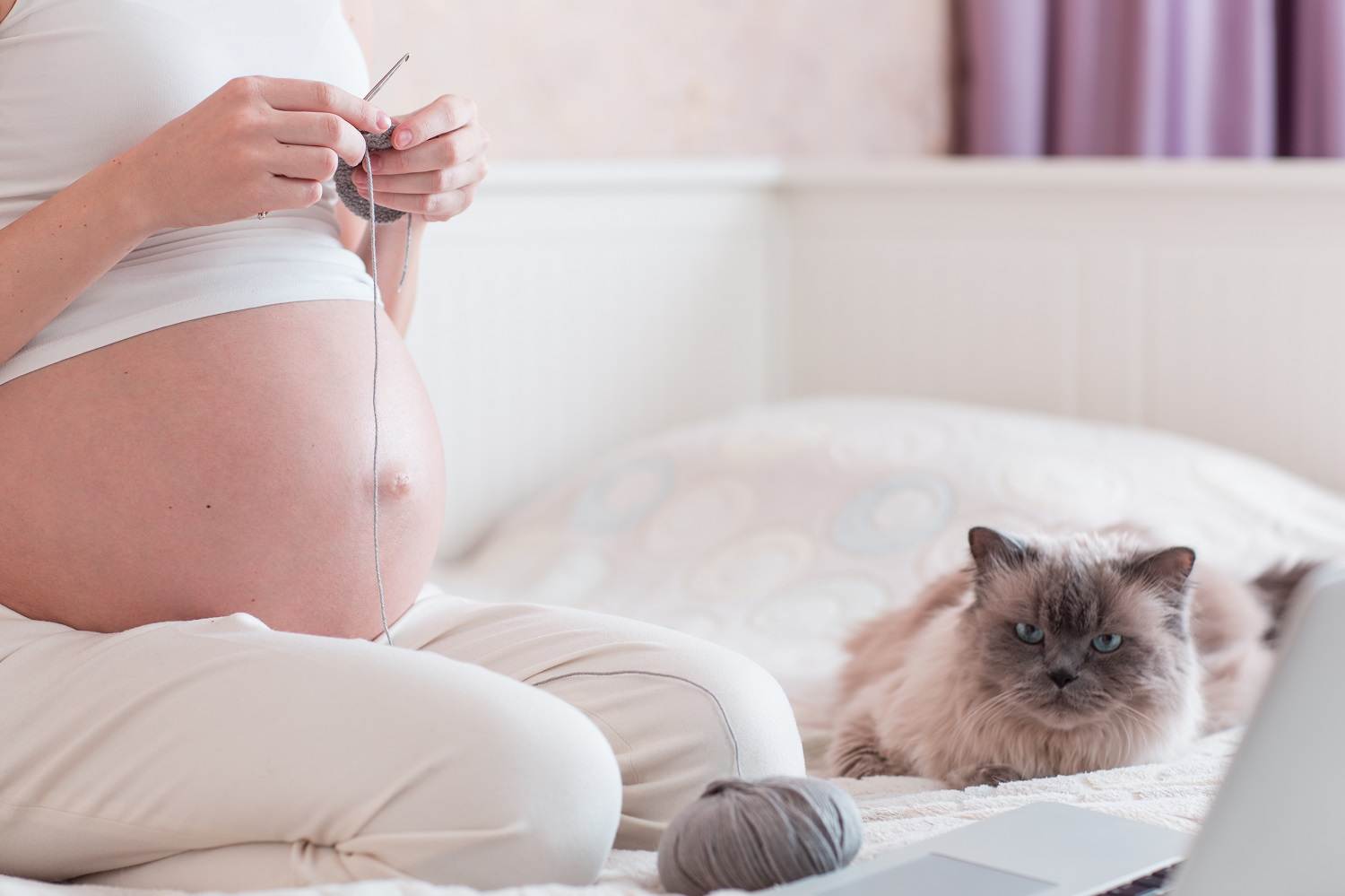 Что будет, если ударить кота беременной? почему беременным нельзя пинать, обижать, бить котов и кошек и других животных: приметы, суеверия