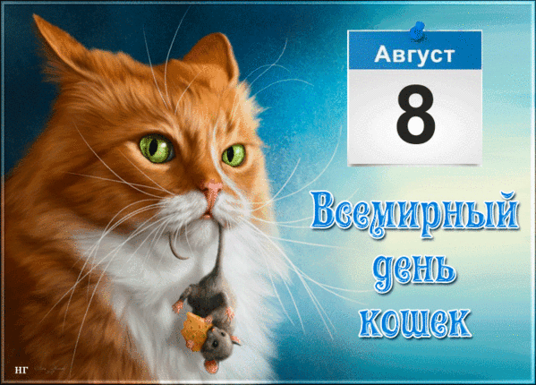 День котов и кошек в россии