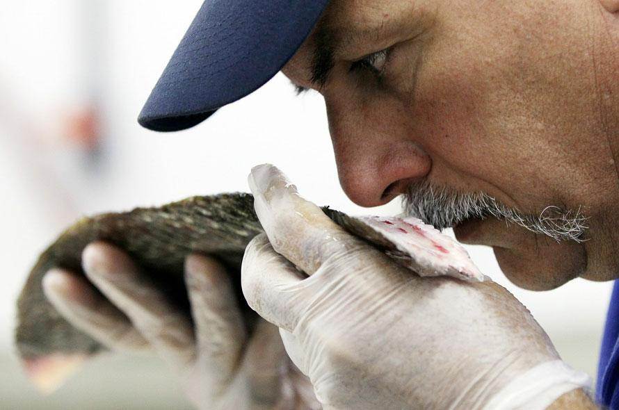 Почему могут появляться запахи рыбы или тухлятины у собаки из под хвоста