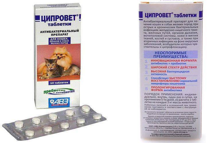 Отравление антибиотиками - лечение, симптомы | фитомуцил сорбент форте