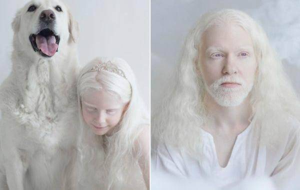Всё о собаках-альбиносах | hill's pet