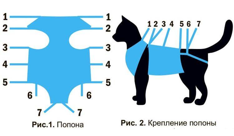 Как сделать одежду для кошки своими руками, подробная инструкция