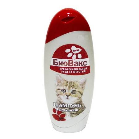 Как выбрать лучший шампунь от блох для кошек?