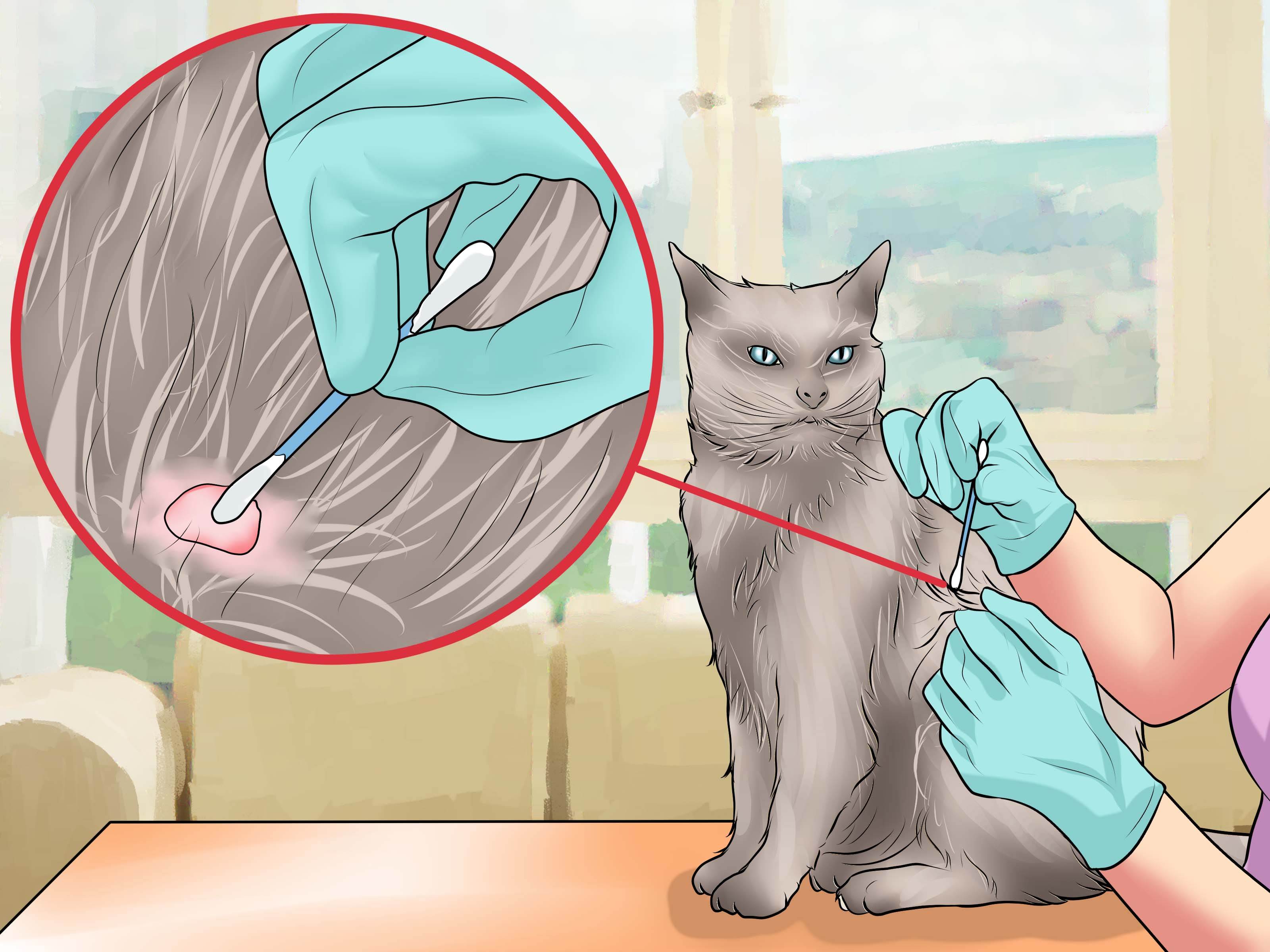 Как убирать квартиру если есть кот и много волос