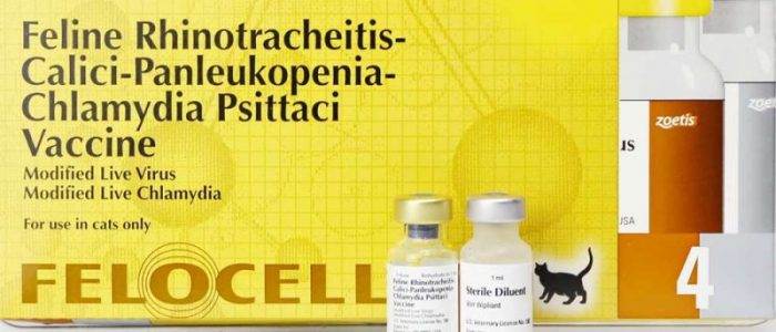 Zoetis felocell 4 вакцина для кошек 1 доза+растворитель