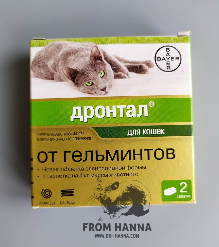 Дронтал для кошек: инструкция по применению, дозировка для котят и взрослых питомцев