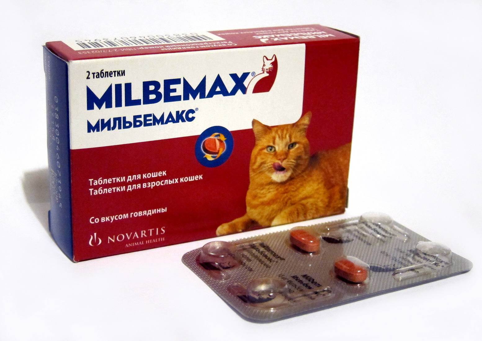 Таблетки от глистов для кошек: виды, дозировка, как часто давать