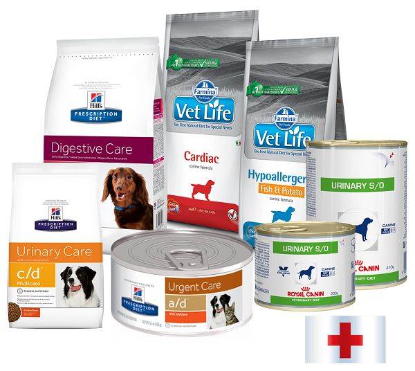 Топ-9 популярных лечебных кормов для собак