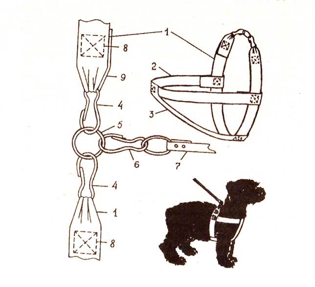 Ошейники для собак своими руками: подробная инструкция с фото