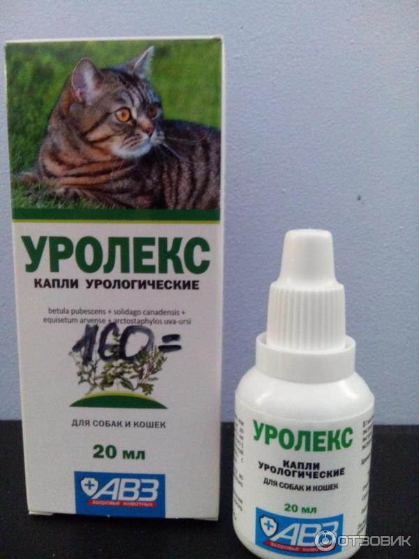 Уролекс (капли урологические) для кошек и собак | отзывы о применении препаратов для животных от ветеринаров и заводчиков