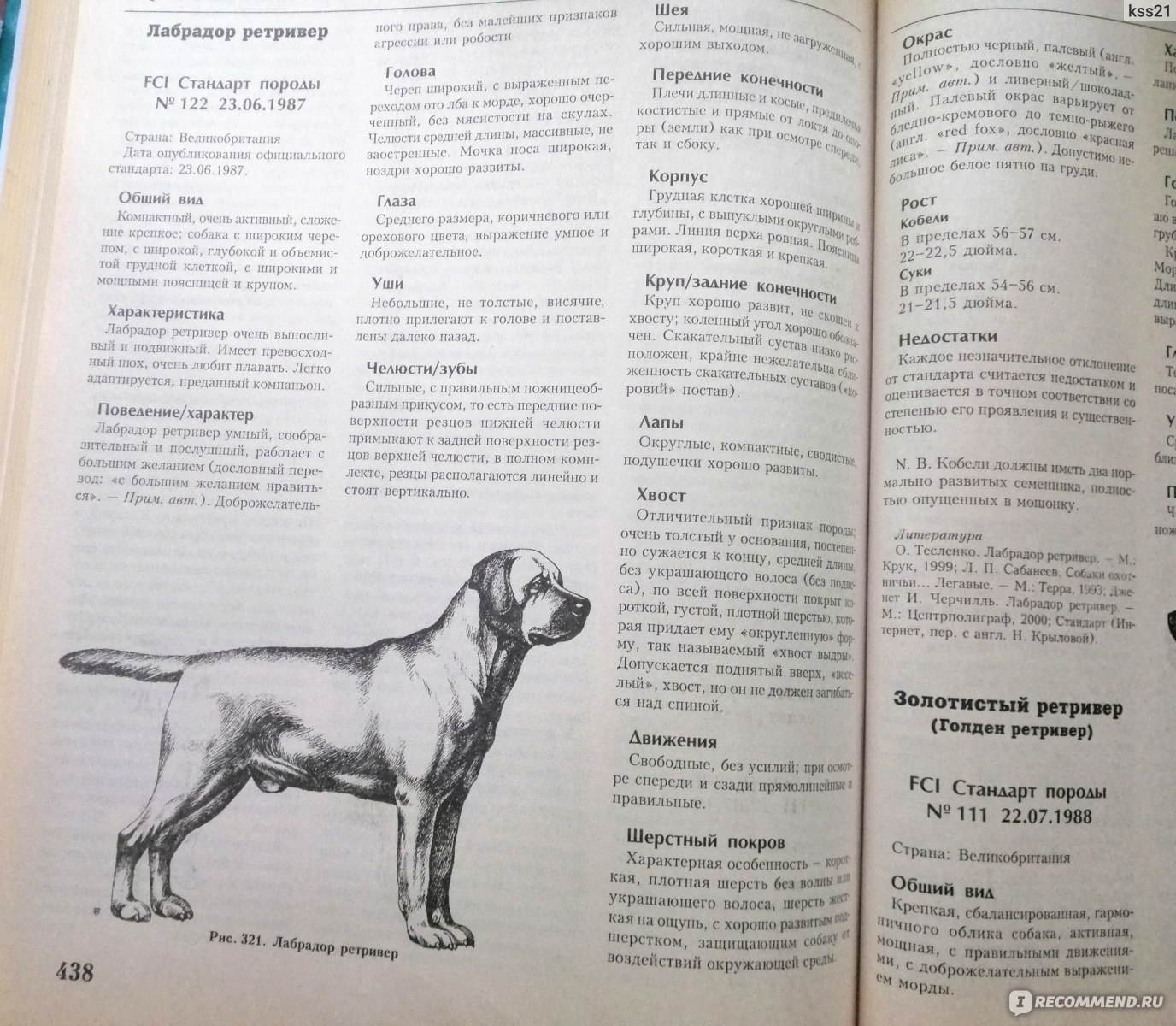Порода собак ховаварт: описание внешнего вида, правила содержания и дрессировки, питомник щенков на урале