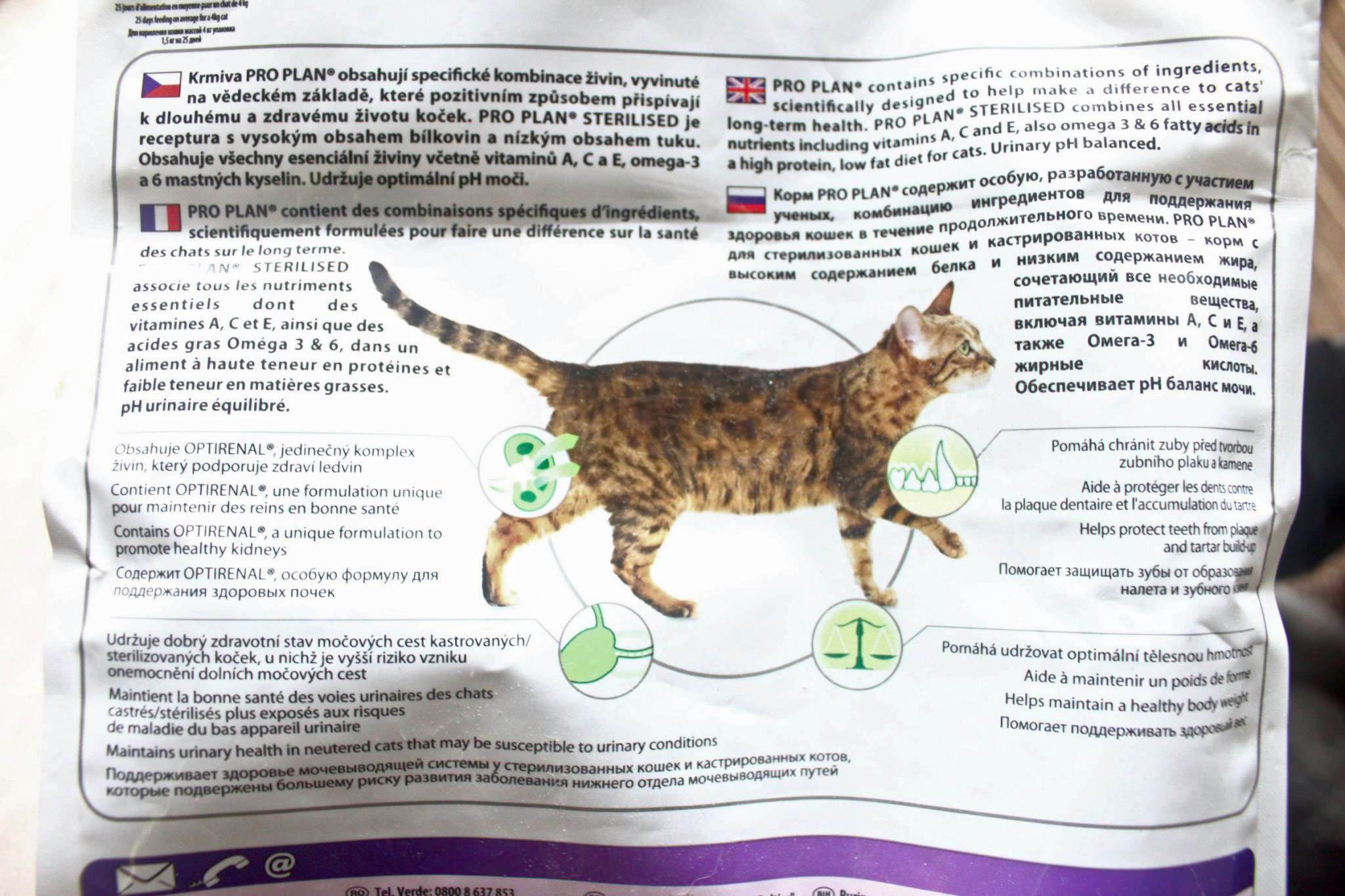 Питание кошек: натуральное, смешанное и готовые корма — обсуждение в группе "кошки" | птичка.ру