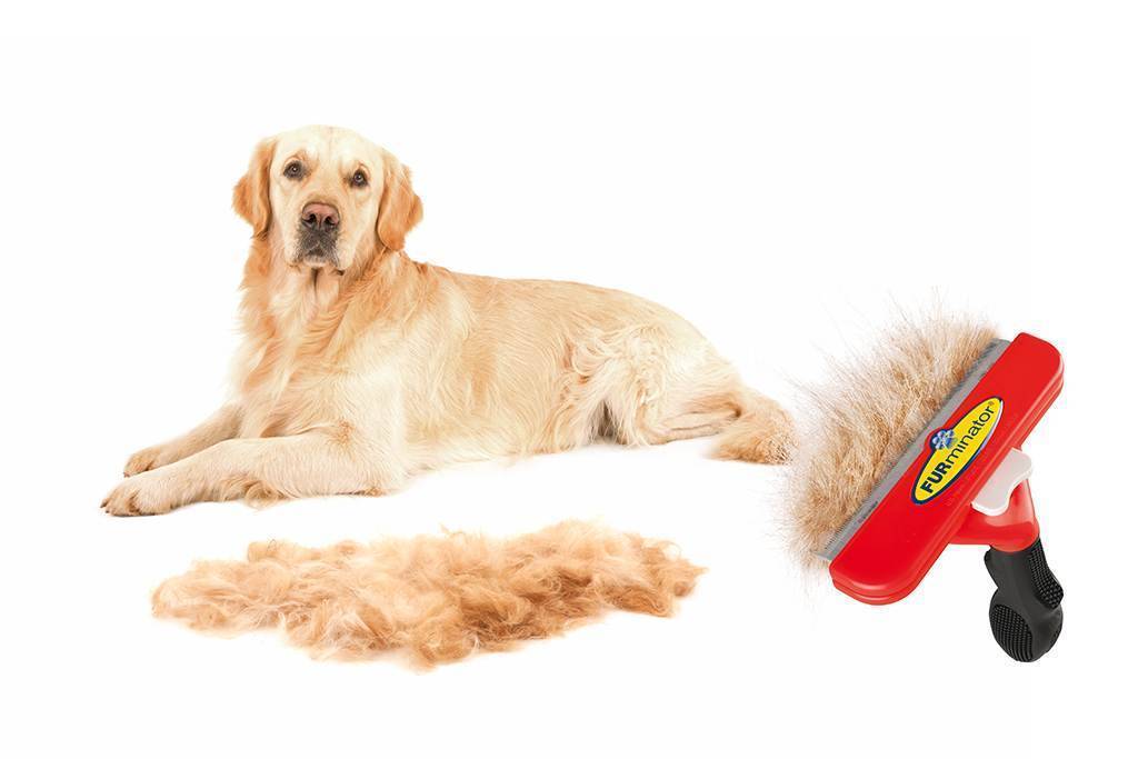 Специальный инструмент фурминатор для собак: что это такое и для питомцев с какой шерстью подходит прибор