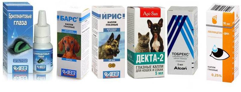 Чем закапать глаза кошке или котенку: обзор лечебных капель против воспалений