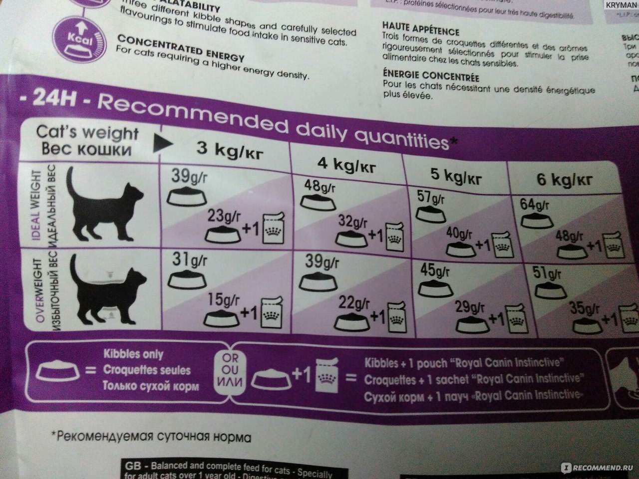 Как кормить кошку сухим кормом: можно ли только таким или надо разными и как правильно, каким лучше, стоит ли собачьим или влажным