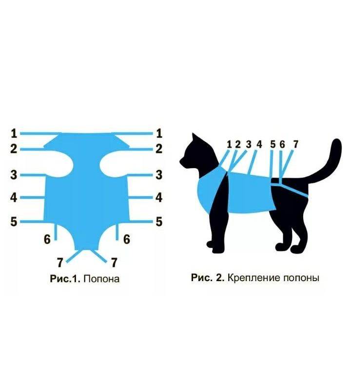 Бандаж для  защиты швов после операции кошкам и котам +видео