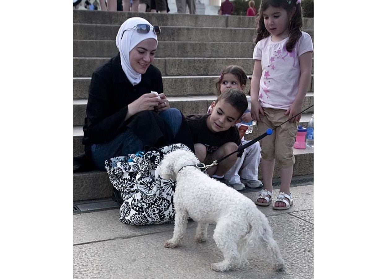 Почему мусульмане не любят собак и нельзя их трогать