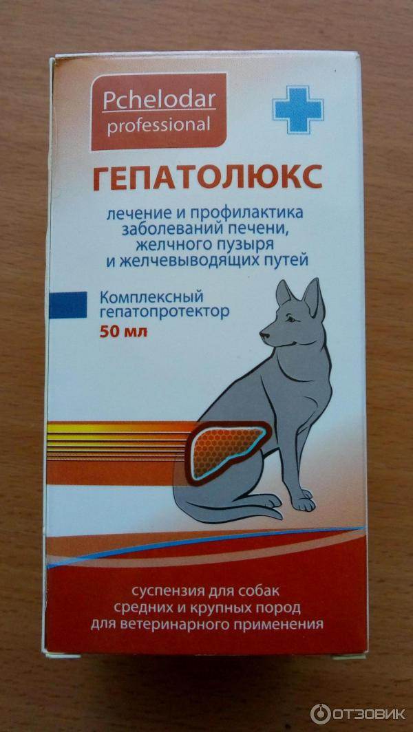 Гепатолюкс для кошек: инструкция по применению, эффективность, кому рекомендуется и противопоказан