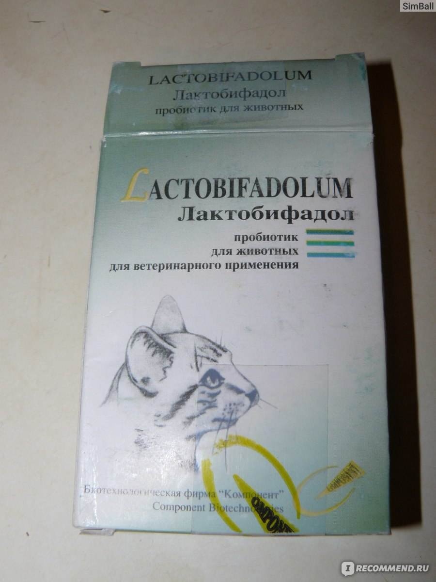 Лактобифадол для собак — лекарство от дисбактериоза