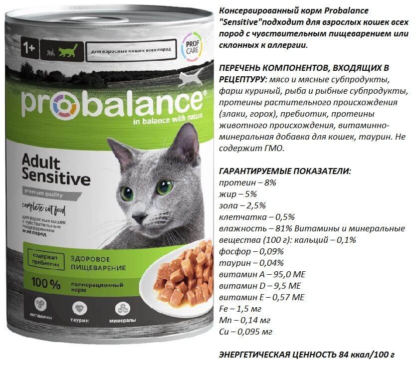 Корм для кошек probalance (пробаланс) - отзывы, состав и советы ветеринаров