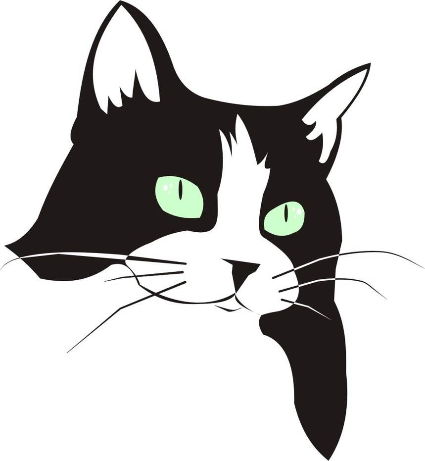 Как рисовать кошку и кота | рисунки для срисовки