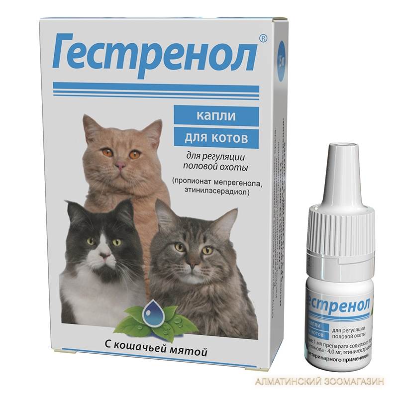 Лекарственные препараты для кошек и котов