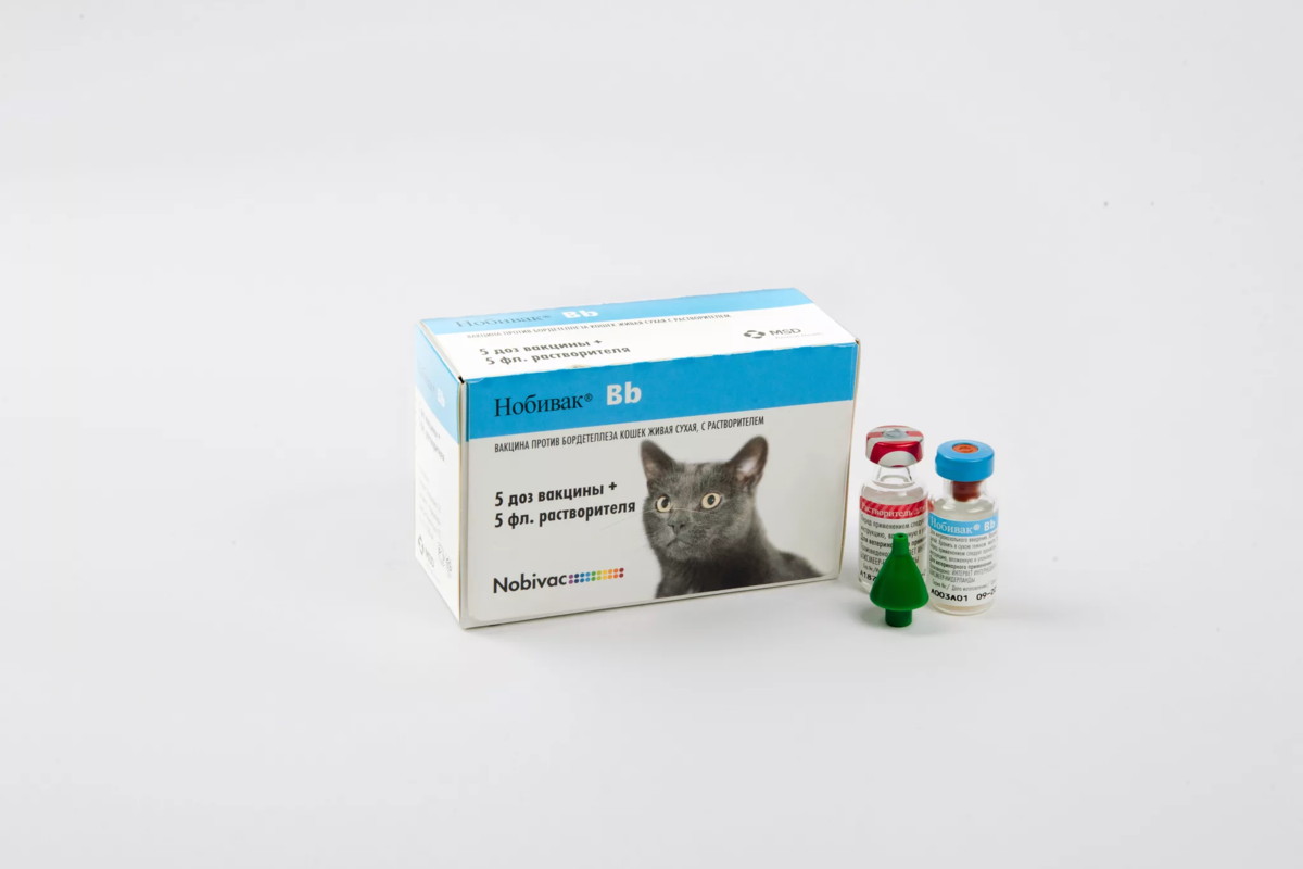 Купить вакцину нобивак для кошек в москве