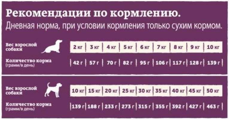 ᐉ обзор и отзывы корма для собак экси - ➡ motildazoo.ru