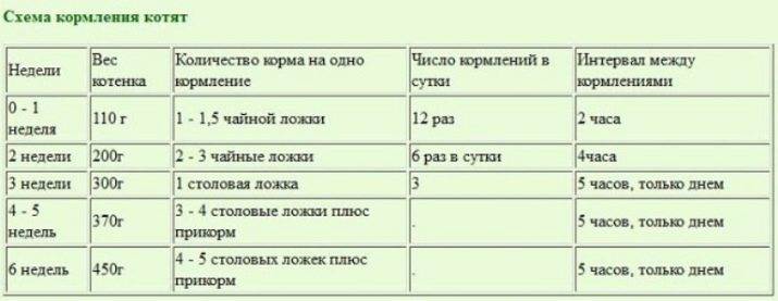 Кормление котят: от рождения и до года
