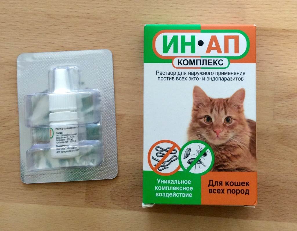 Капли на холку от глистов для кошек - обзор препаратов и нанесение