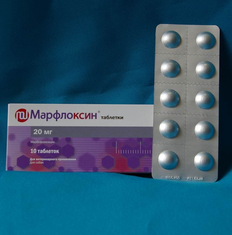 Марфлоксин для собак: инструкция по применению, дозировка, особенности использования, отзывы