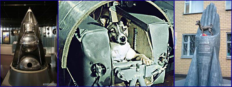Первые собаки побывавшие в космосе: цыган, дезик и другие