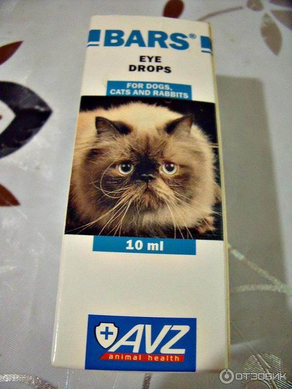 Капли ирис для глаз кошек: рекомендации по лечению глазных болезней кошек, как очистить глаза у кошки- инструкция +фото и видео