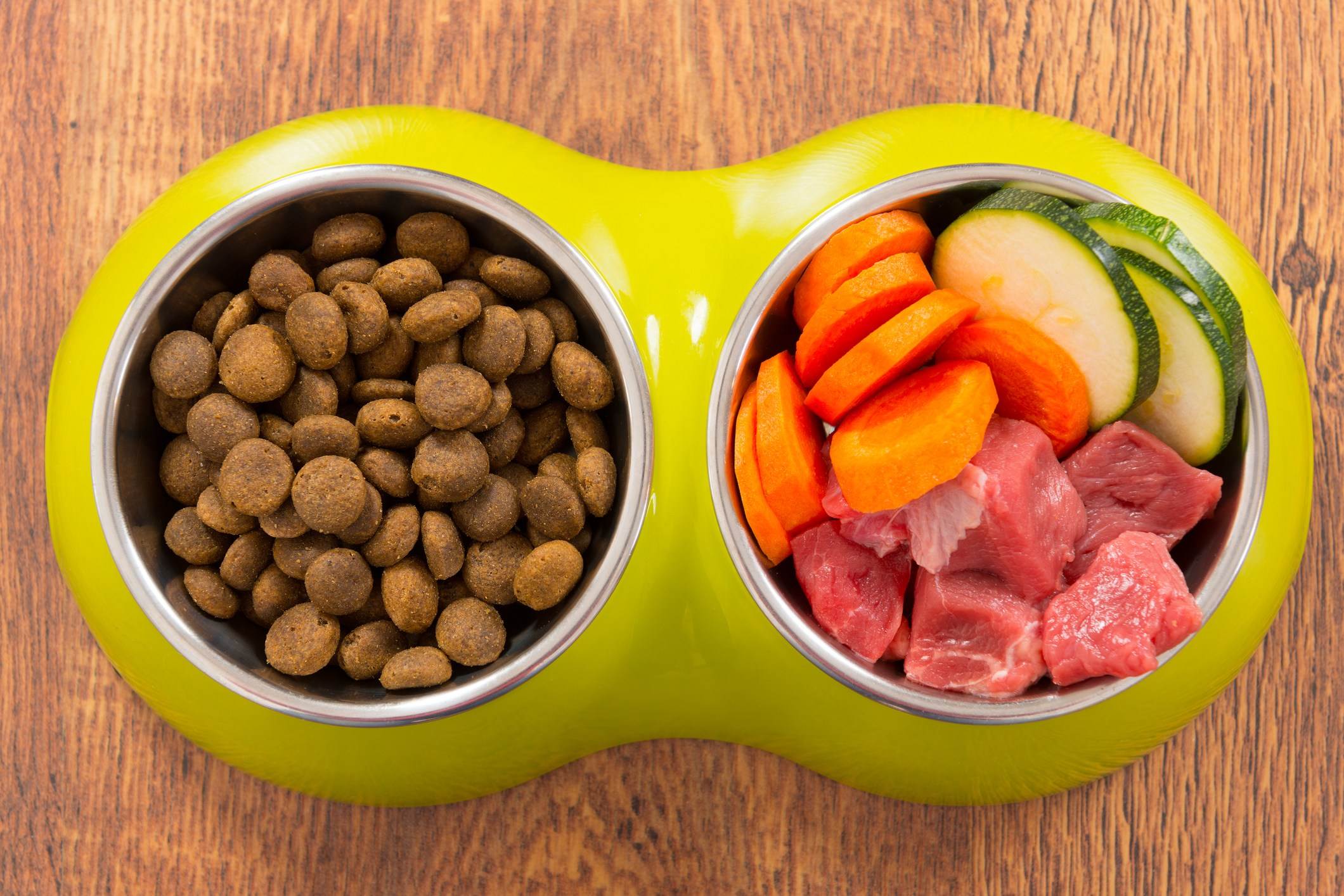 Как посадить собаку на диету для похудения: специальные корма от ожирения