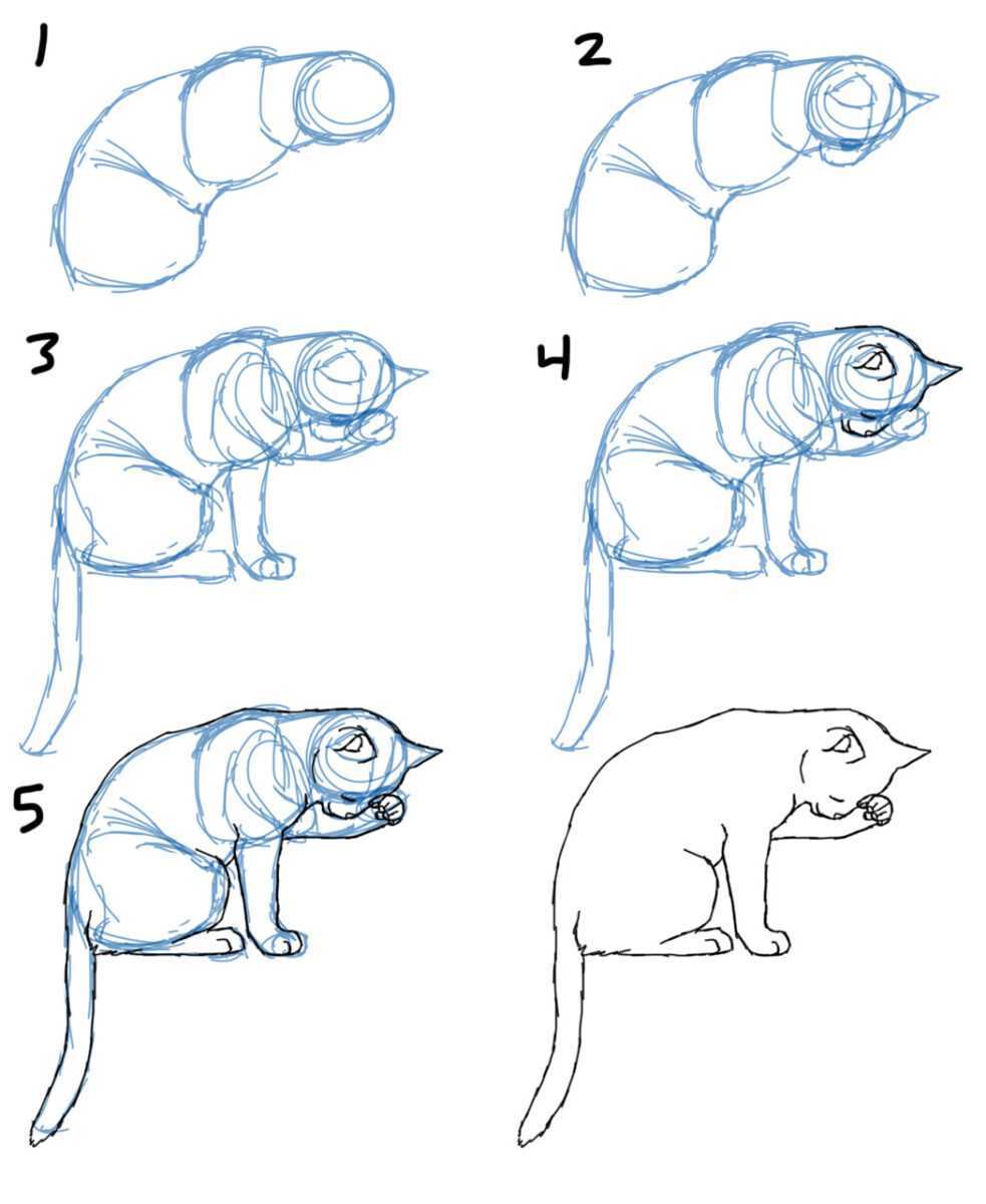 Кошка нарисовать поэтапно карандашом