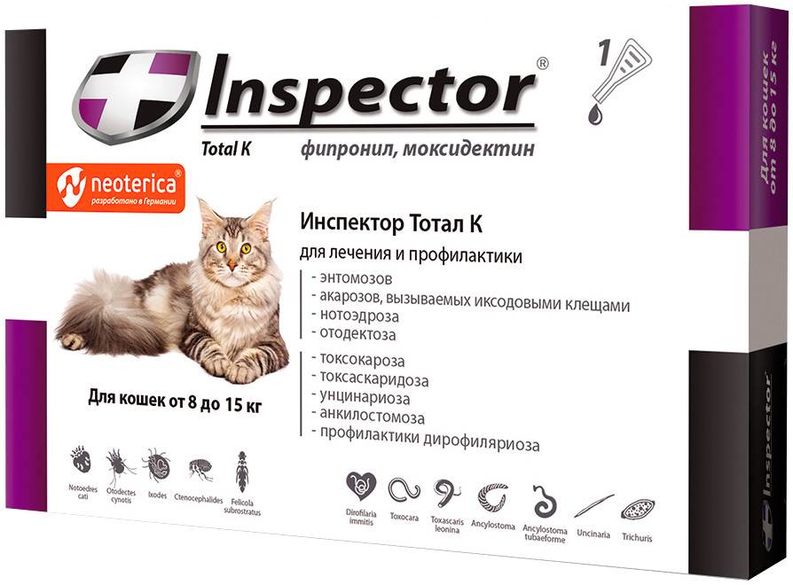 Способ применения капель инспектор для кошки: дозировка и противопоказания