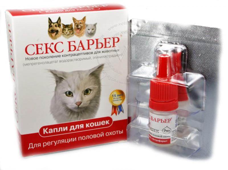 Капли и таблетки для кошек и котов «от гуляния» (секс барьер, антисекс и другие), особенности применения и отзывы