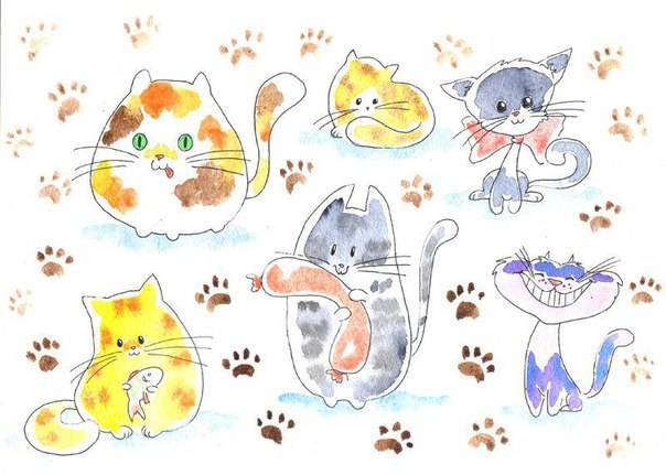 10 игр для котят и кошек - как играть с котенком и кошкой - всё о кошках и котах