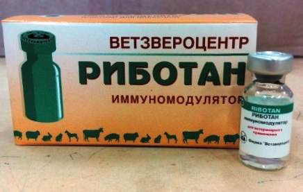 Инструкция по применению риботана для кошек