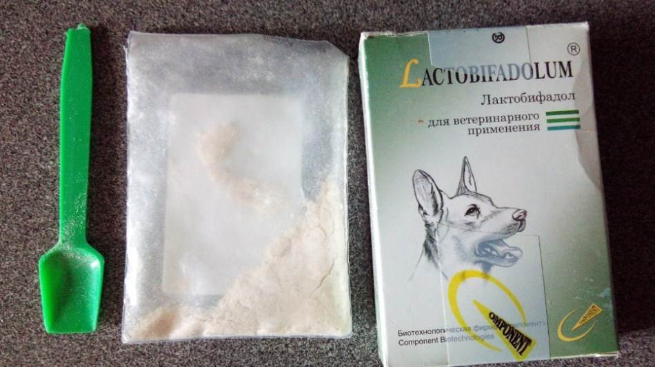 Лактобифадол для собак: инструкция по применению с дозировкой для щенков и взрослых. что входит в состав обычного пробиотика и «форте»?