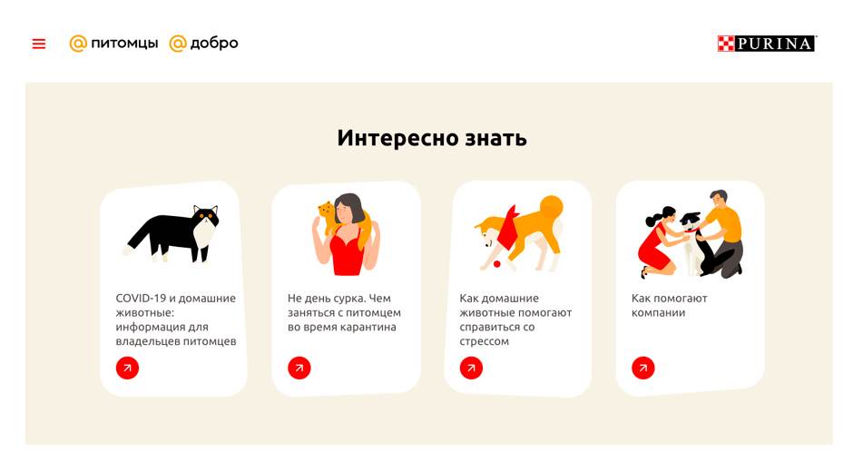 Накормить, погулять, вылечить — большая подборка российских pettech-проектов