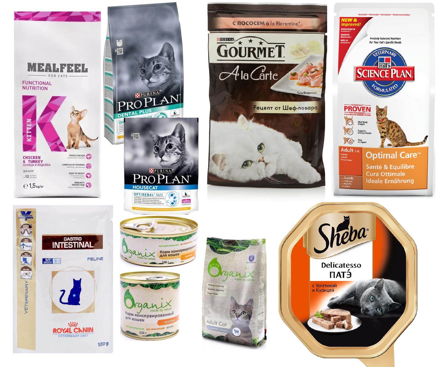 Рейтинг суперпремиум кормов для кошек 2020 года: лучшие корма премиум класса