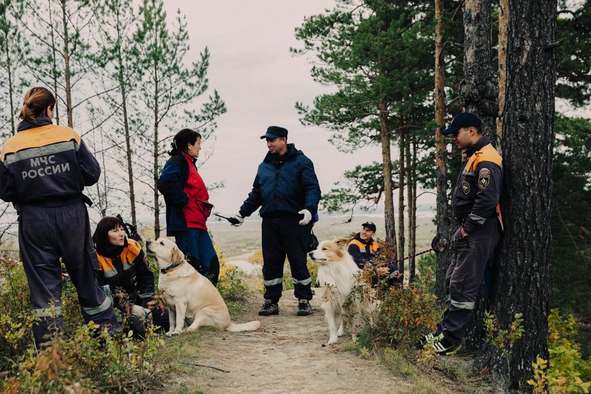 Собаки спасатели мчс: в горах, на воде и их породы