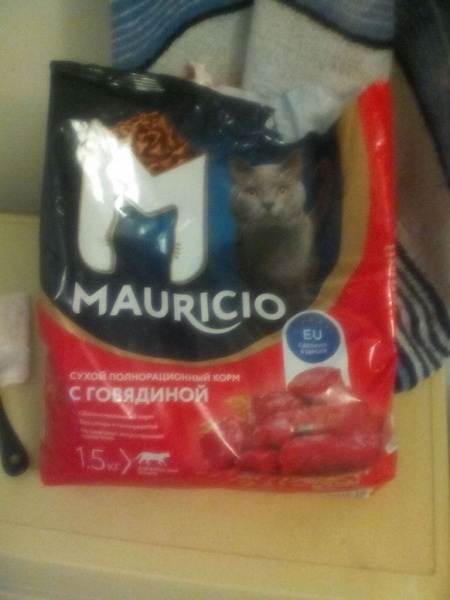Корм для кошек mauricio: отзывы и разбор состава - петобзор