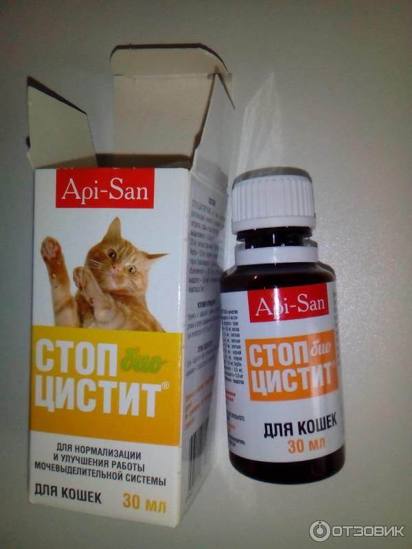 Стоп Цистит Для Собак Инструкция Цена