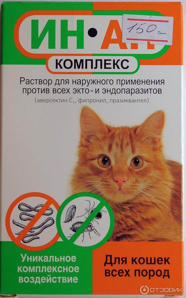 Таблетки от блох для кошек - применение и действие