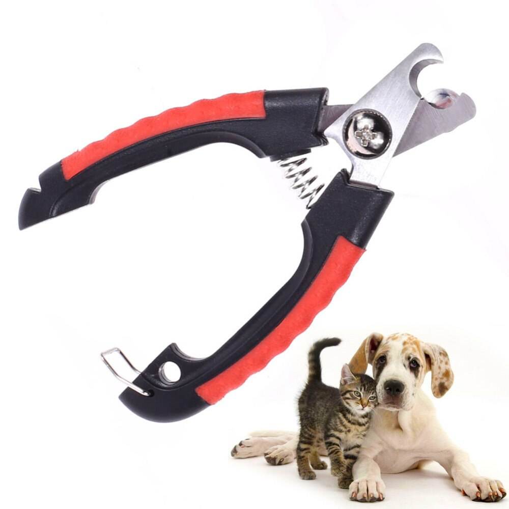 Как правильно стричь когти собаке в домашних условиях ножницами?
